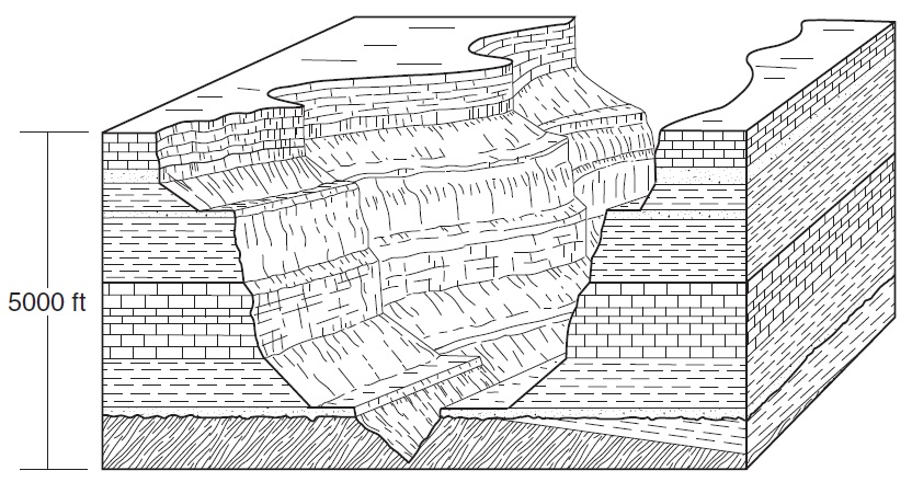 exercise Q 1 picture