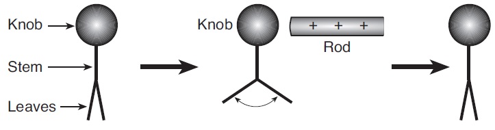 electroscopes